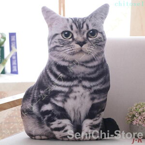 ���Ԍ���5%�N�[�|�� �L ���A�� ���� �傫�� 50cm �T�C�Y chitose1 CAT �ʂ������ �u���e�B�b�V���V���[�g�w�A�[ �A�����J���V���[�g�w�A ���g�� �� ������ �ʂ�����ݕ����� �ԍ� ���o���� ���s