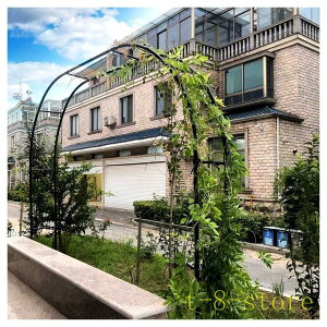 Ԍ800~N[| ^ K[fA[` oA[` ^ϋv õgXA[` p[S A[`ubN gݗĂ񂽂t[A[` pCva19mm 