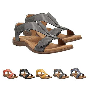 A[`T|[gT_EBYA2025Np`OȃT_A\tgtbgxbh`OȃT}[T_AtbgXbpJWAT_