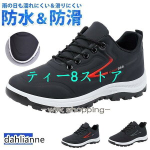 Xj[J[ Y h J  y Jp jp hV[Y  ʋ ʊw EH[LOV[Y JWAV[Y ^C WMO 