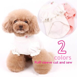 Ԍ5%N[|  Jbg\[ ybgEFA Ck  hbO ^ ^ ybgpi gbvX   t[ hJ t MU[ n PF 킢 L[g  