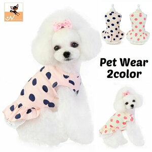  ybgEFA s[X  L hbO Lbg m[X[u Ȃ eBA[h t [X hbg  킢  U o ig fC[ m C