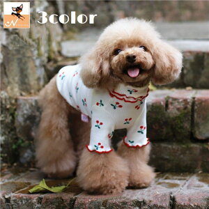  hbOEFA ybgEFA Jbg\[ ̕  m ybgpi ^  TN{ ݕt u Et U o  킢  L̕ ˂