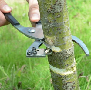 Vi |piCt 󔍔   󔍔iCt vC[ ֐nt ̎  ʎp  X`[