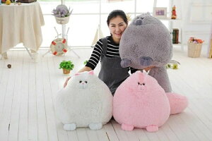 L ʂ  50cm  傫ʂ  ܂ ܂ Iu 킢 k Cǂ ӂӂ lR ˂ y z