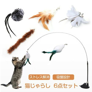 Ԍ5%N[| L炵 z Œ L ނ 6_Zbg t L Lp H ˂ lR Lpފ p H ˂ lR lV mߋ Ȃ₩ X