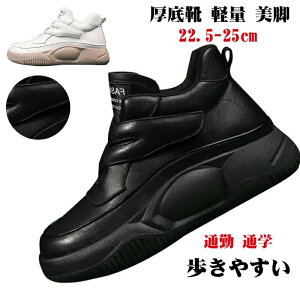 Ԍ5%N[| Xj[J[ fB[X Xj[J[ }WbNe[v EH[LOV[Y t@bV ʋC Ȃ ₷ gAbv EH[LOV[Y L ~