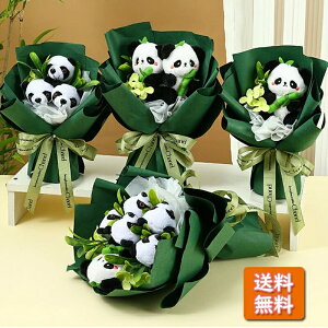 p_̃u[P p_ʂݓ ԑ u[P a v[g 蕨 j  җj o^Cf[ o ΂ bZ[WJ[ht  Ԃ JXj 