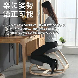 期間限定5%クーポン 子供椅子 子ども椅子 学習椅子 バランスチェア プロポーションチェア 腰楽ニーリングチェア 子供 子供から大人まで 大人 姿勢良く 腰痛対策 姿勢補助 猫背矯正 ゆらゆら chitose1