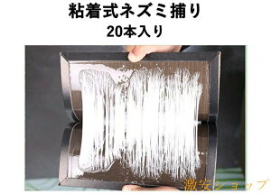 �S�����l�Y�~�߂� �v���V�[�gA 1���i20�����j �ϐ����V�[�g �S���� �l�Y�~�ގ�