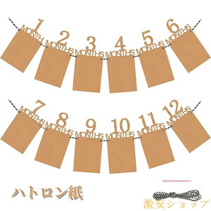 tHgt[ t 1 12 ʐ^K[h o[XfB p[eB[ j tHgt[ t Ǌ| ʐ^t[ ʐ^ LO Ԃ  ЂtDIYp pia