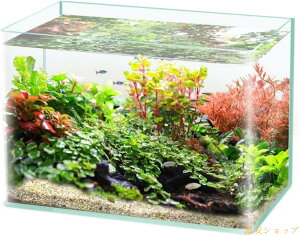   lp KXe _J  _J  ^  KXe  KX{g ACe I ƒ ڎ cƏ@eE ϗtA  