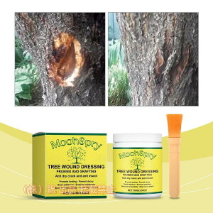 AܐAN[ؐ؂یܐAy[Xg~͖ܐA܎ؙV[[؏C܊Ћюؖܐ؂ی܃uVt