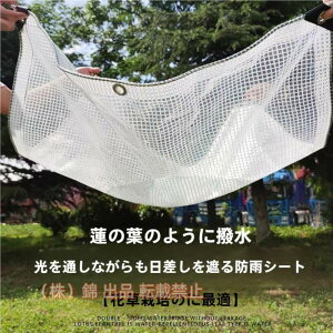 Ԍ5%N[| hV[grj[J[e100%hhhoJ悯|x_JJ[e?rj[J[eЋщƒpK[fOp{݃Rr