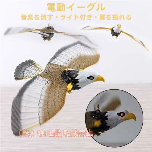 Ԍ5%N[| 悯 JX悯 悯 ǂJCg 悯 C[OJCg | h JCg 悯 ǂ?Ћ hb??pi ̑ ރn