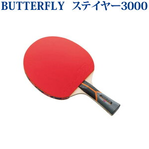 yiz o^tC XeC[3000 16740 싅 VF[Nnh Pbgo[グς