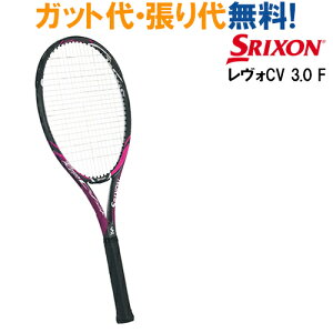 �X���N�\�� �����H CV3.0 F LS SR21807 [���^���O���[/�p�[�v��]