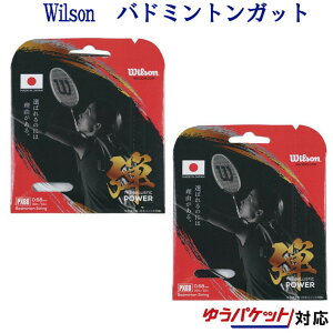�E�C���\�� �o�h�~���g�� �K�b�g �X�g�����O PX68 BADMINTON STRING SET WR850040x001 ���[���֑Ή�