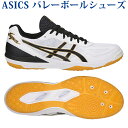 最大300円OFFクーポン付 【在庫品】 アシックス ローテ ジャパン ライト FF 1053A002-147 メンズ 2019SS バレーボール