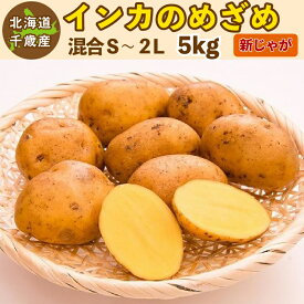 インカのめざめ 新じゃが 5kg（混合S〜2L）北海道 千歳産 じゃがいも ジャガイモ 送料無料 訳あり ご予約品 9月下旬〜10上旬発送予定