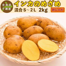 インカのめざめ 新じゃが 2kg（混合S〜2L）北海道 千歳産 じゃがいも ジャガイモ 送料無料 訳あり ご予約品 9月下旬〜10月上旬発送予定