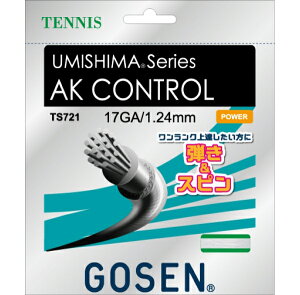 �y���i�z �S�[�Z�� AK CONTROL 17 AK �R���g���[�� 17 TS721 �e�j�X �X�g�����O �d�� GOSEN ���[���֑Ή�