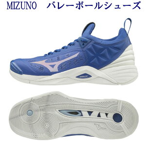 ミズノ バレーボールシューズ ウエーブモーメンタム ブルー×シルバー×ホワイト V1GA191206 メンズ ユニセックス 2020SS 同梱不可 RFCL