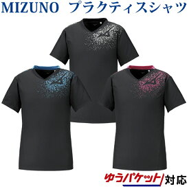 ミズノ ブレーカーシャツ（半袖） V2ME0111 メンズ ユニセックス 2020SS バレーボール ゆうパケット(メール便)対応 半袖 練習着
