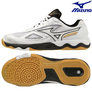 ~Ym 싅V[Y EG[u_ 7 81GA231502 jZbNX 2023AW s RFCL