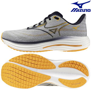 ~Ym jOV[Y EG[uC_[29 SW@J1GC250405 Y 2025AW s RFCL