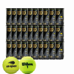 EC\ dejX{[ USI[vEGNXgEf[eB wrt1000j-30 2301(v60)ejX{[ 