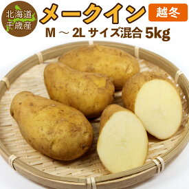 北海道産 メークイン 越冬 M～2Lサイズ混合 5kg 熟成 じゃがいも ジャガイモ 送料無料 訳あり