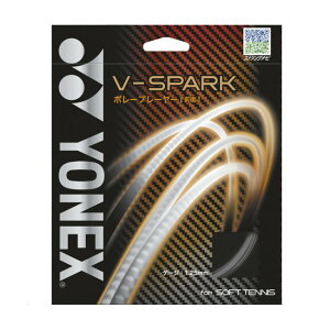 lbNX ejX Kbg V-Xp[N SGVS \tgejX XgOX Kbg YONEX 䂤pPbgΉ