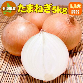 北海道産 たまねぎ 5kg L〜L大サイズ混合 送料無料 タマネギ 玉ねぎ 玉葱 玉ネギ