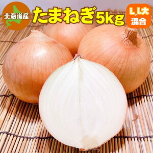 kCY ܂˂ 5kg L`LTCY  ^}lM ʂ˂ ʔK ʃlM