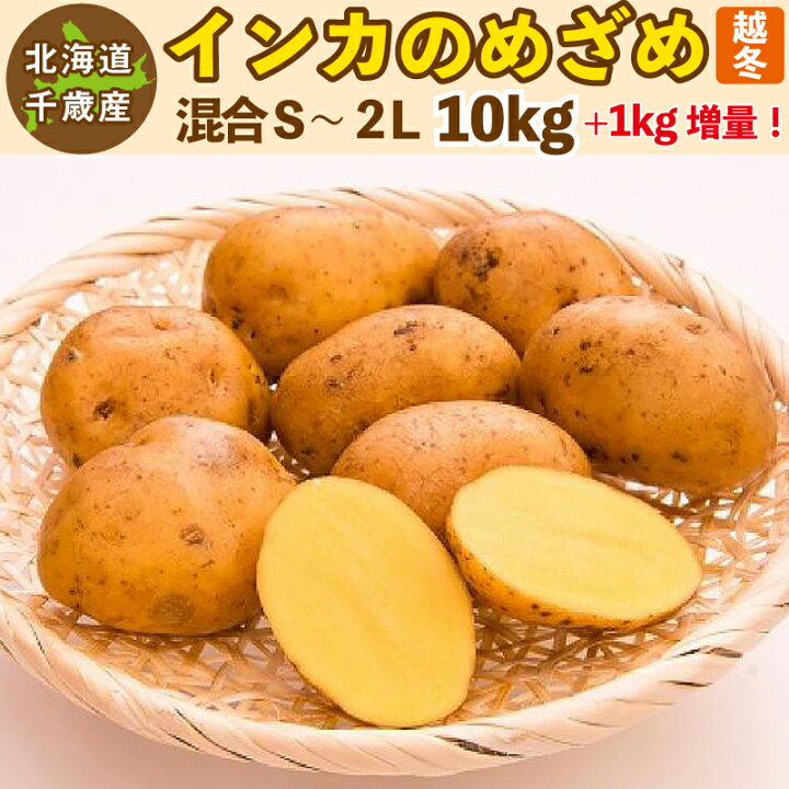 楽天市場】インカのめざめ 越冬 11kg（10kg+1kg増量）S〜2Lサイズ混合 