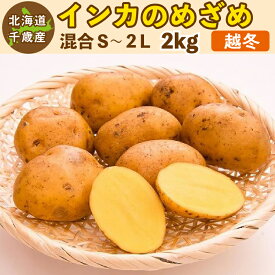 インカのめざめ 越冬 2kg（混合S〜2L）北海道 千歳産 熟成 じゃがいも ジャガイモ 送料無料 訳あり 1月上旬〜