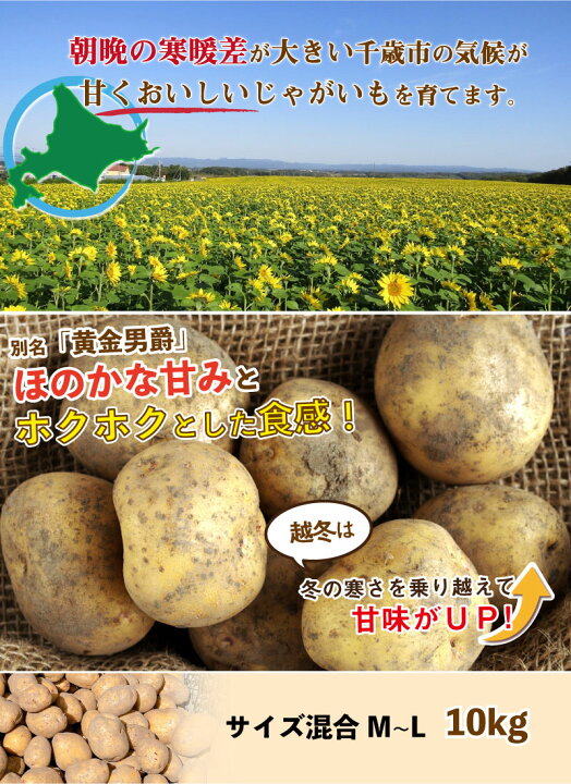 楽天市場】北海道産 きたあかり M〜Lサイズ混合 10kg 越冬 