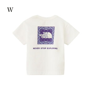 THE NORTH FACE UEm[XEtFCX xr[V[gX[uo_iXNGASeB[ NTB32546 2025SS m[XtFCX 䂤pPbg([)Ή