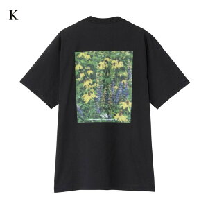 THE NORTH FACE UEm[XEtFCX V[gX[utbVhCsNZvgRbgeB[ NT32549 jZbNX 2025SS 䂤pPbg([)Ή