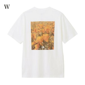 THE NORTH FACE UEm[XEtFCX V[gX[utbVhCsNZvgRbgeB[ NT32549 jZbNX 2025SS 䂤pPbg([)Ή m[XtFCX