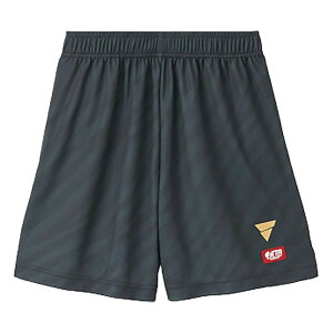 BN^X VICTAS Q[pc V-GP503 522501 jZbNX 2025SS 싅 2025NS{I茠_I蒅p