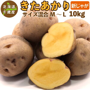kCY  VႪ M`LTCY 10kg \̔ 9{ȍ~\ Ⴊ WKC L^AJ k 
