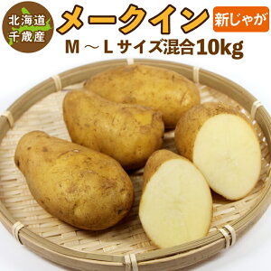 kCY [NC VႪ M`2LTCY 10kg Ⴊ WKC  󂠂