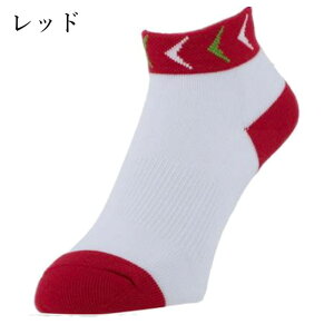 싅 \bNX INNOVEX MZ02 Y fB[X 䂤pPbg([)Ή