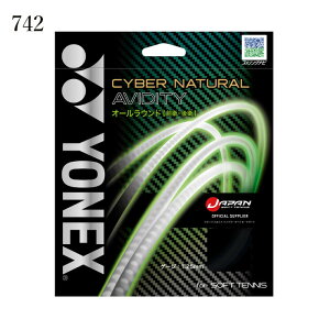 lbNX ejX \tgejX Kbg TCo[i`ArfBeB CSG550AD 䂤pPbg([)Ή