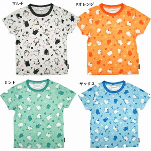 yԕiEszS[Z 2020NtTVc ۂlR oh~gp[eB NPT28 2020SS@Z[