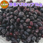 冷凍ハスカップ 1kg 北海道産 送料無料