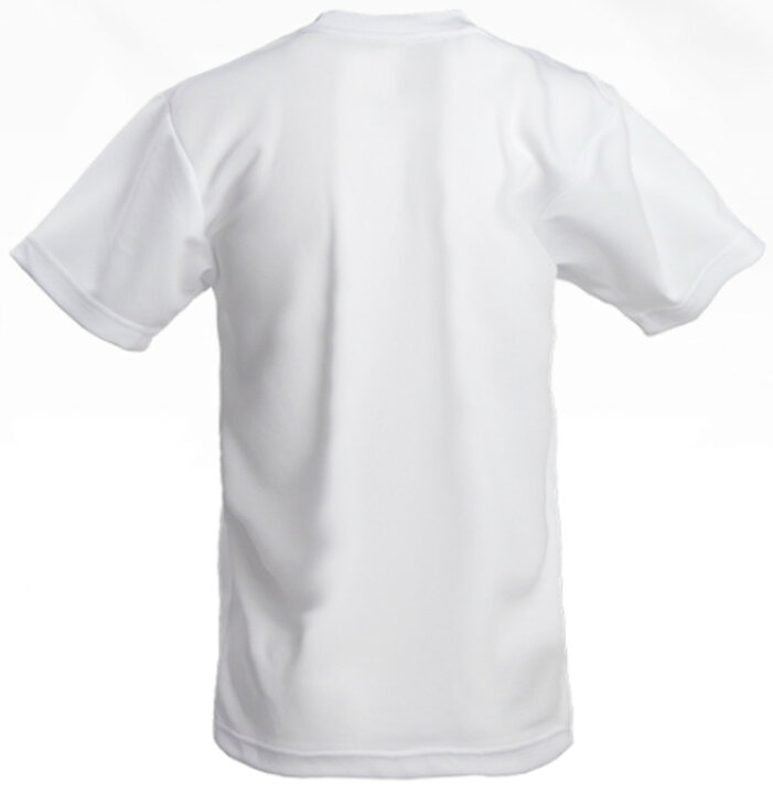 楽天市場】ブラックナイト Tシャツ T-1104 メンズ ユニセックス 2021SS バドミントン ゆうパケット(メール便)対応 :  チトセスポーツ楽天市場店