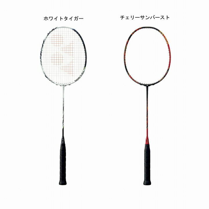 楽天市場】ヨネックス アストロクス99プロ AX99P 2021AW : チトセ 